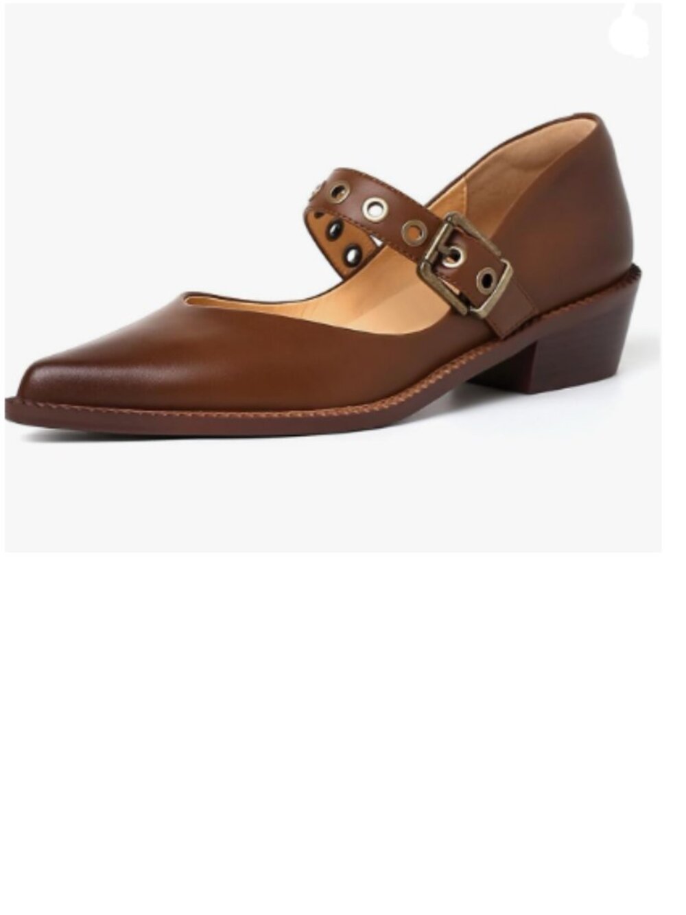 YDN Brown  Pointed Toe Mary Jane Chunky Heels Loafers Hollow Buckle Pumps Party